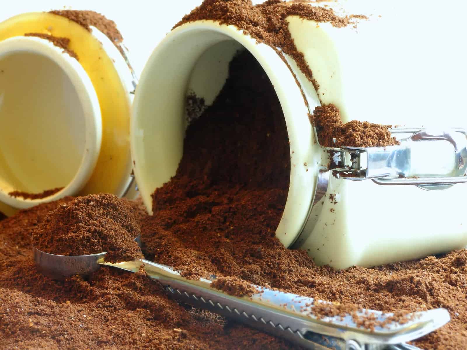 Can Coffee Go Bad? How to Store your Beans and Keep them Fresh
