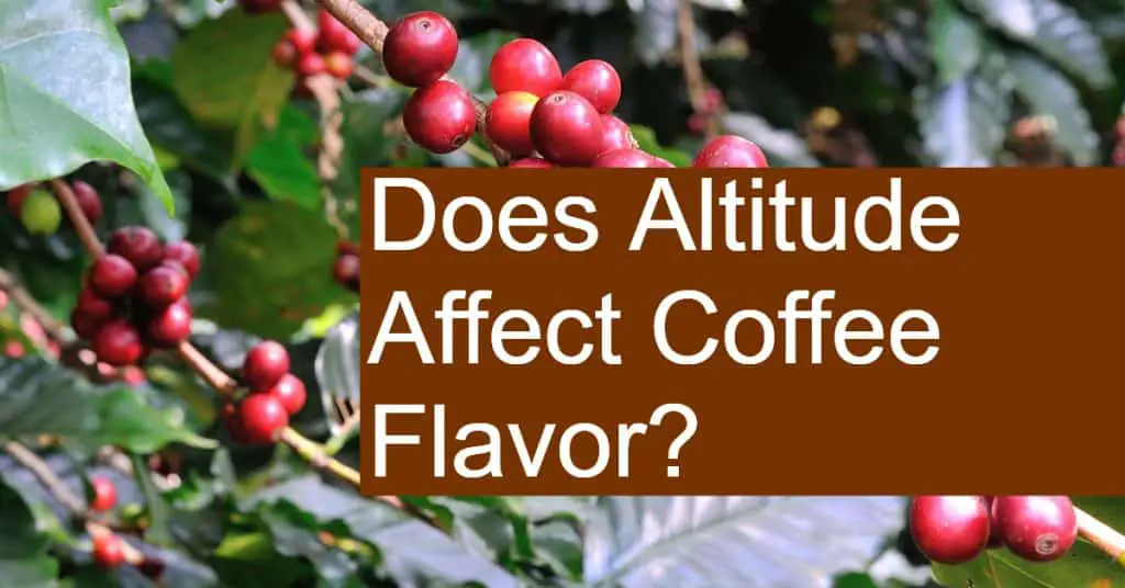 Does Altitude Affect Coffee Flavor?