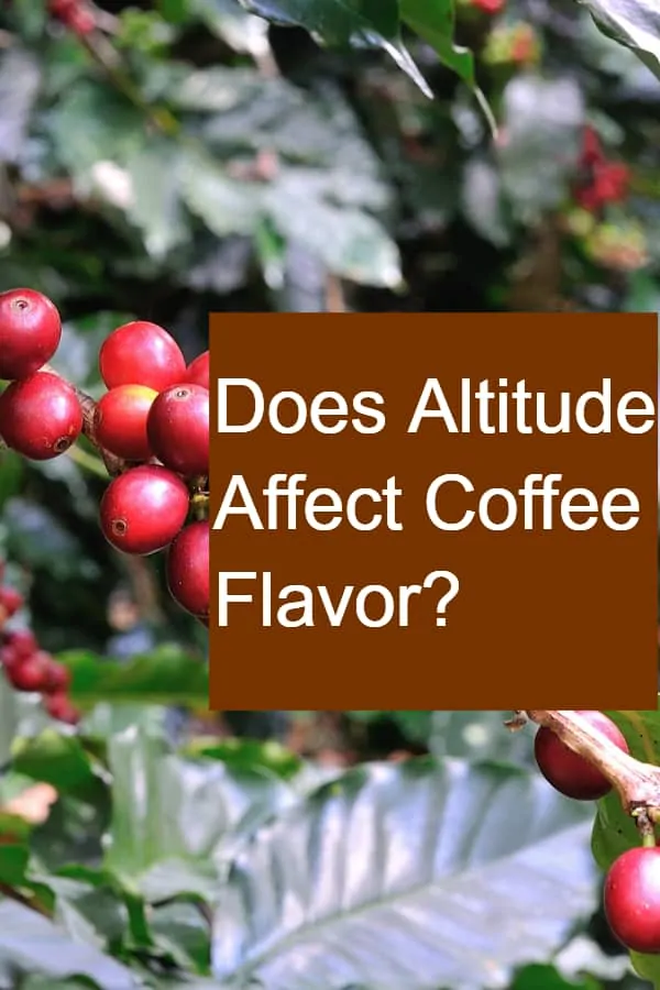 Does Altitude Affect Coffee Flavor? - Pin