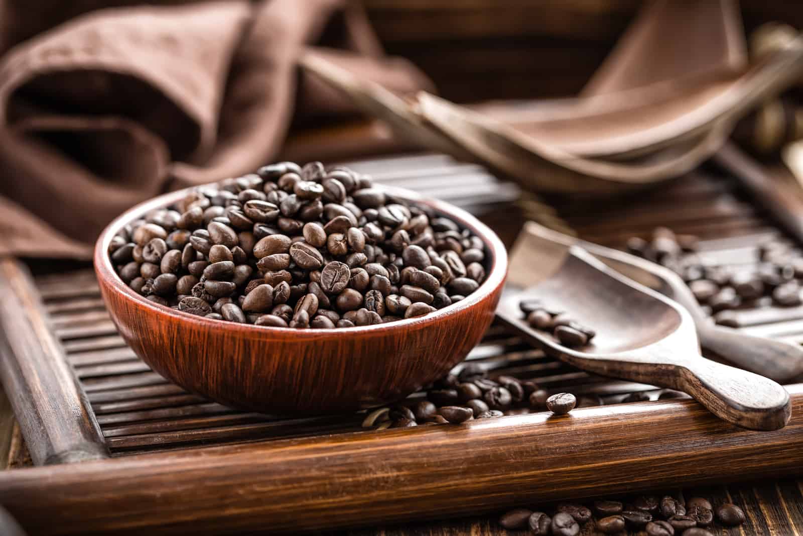 Can Coffee Go Bad? How to Store your Beans and Keep them Fresh