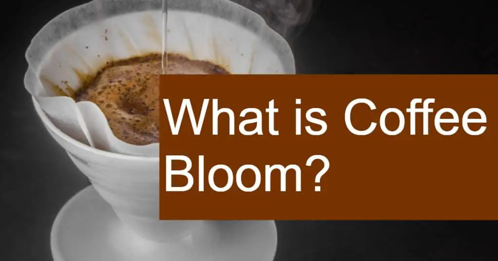 What is Coffee Bloom?