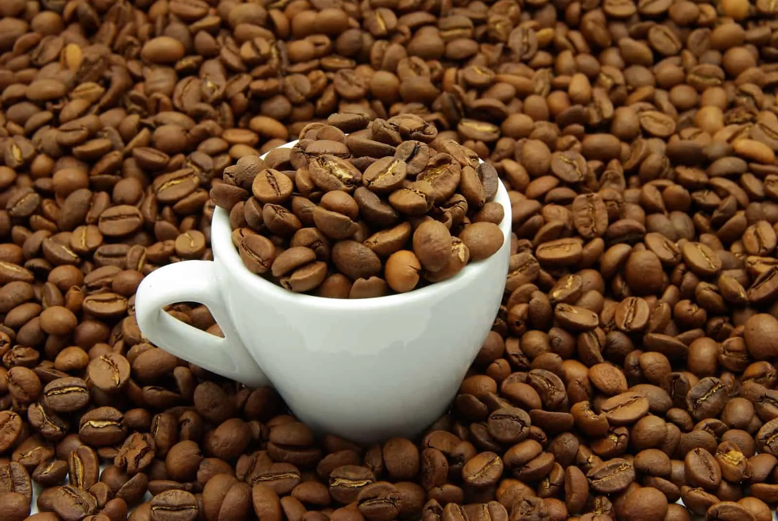 How Many Coffee Beans Are in a Cup of Coffee? dripped.coffee