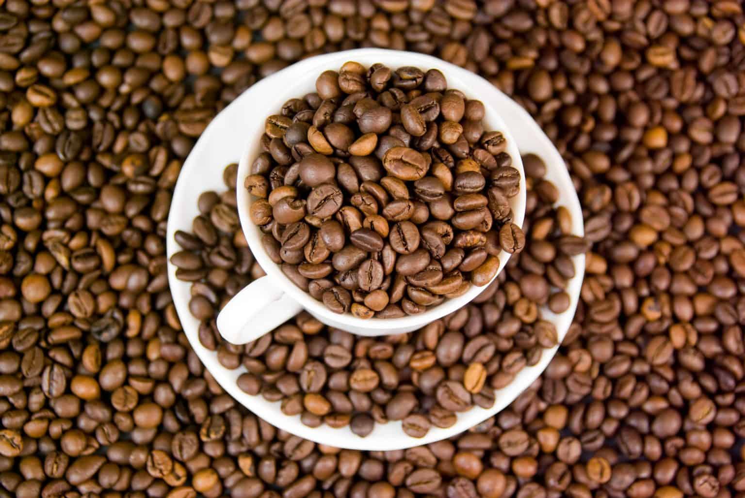 Arabica vs Robusta Coffee Beans What Is the Difference? dripped.coffee