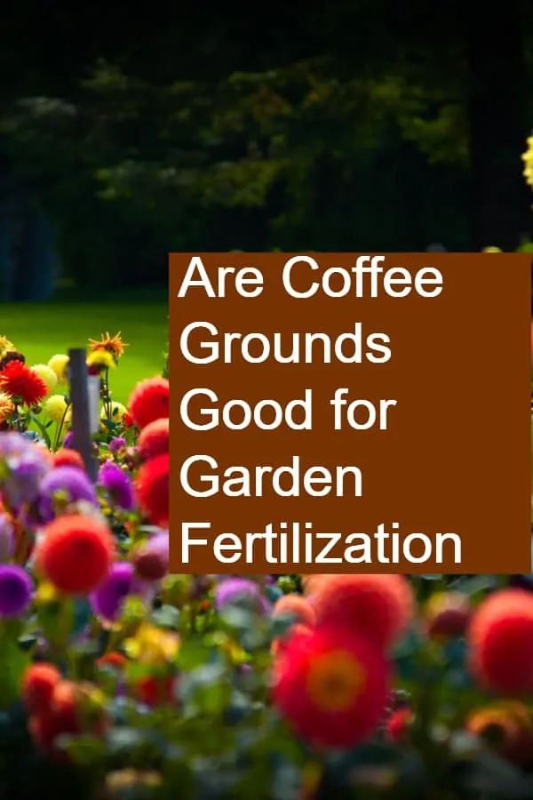 Are Coffee Grounds Good for Garden Fertilization and to keep pests at bay?