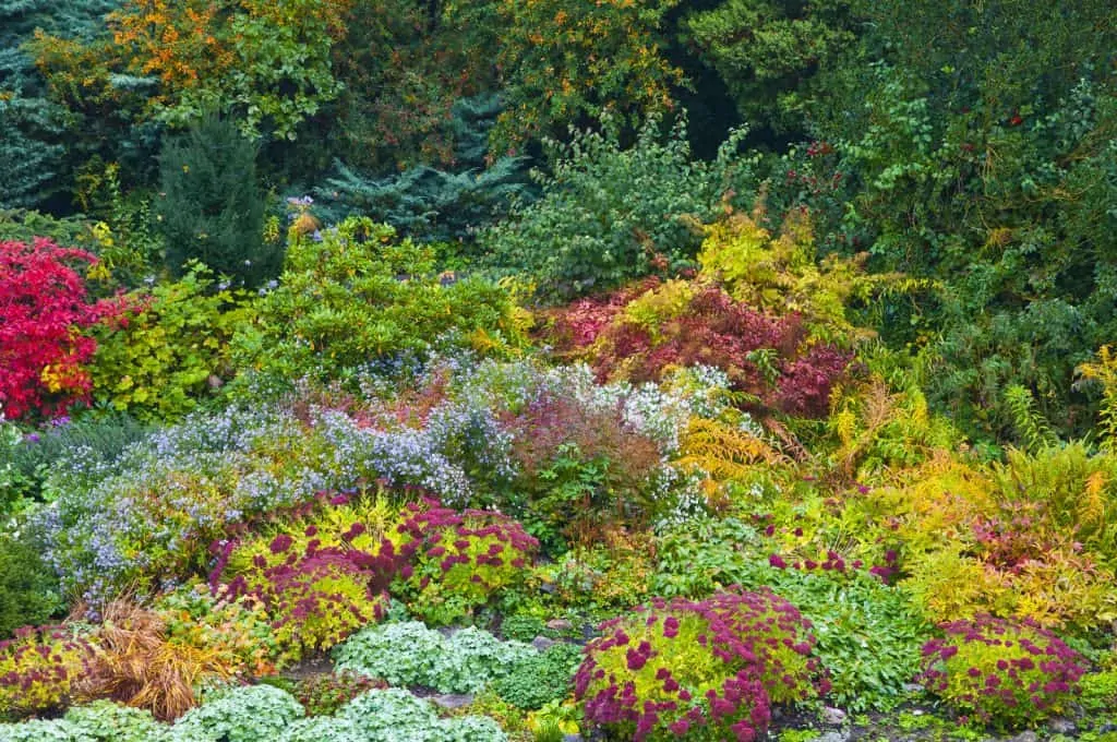 Enrich your garden and compost with coffee grounds