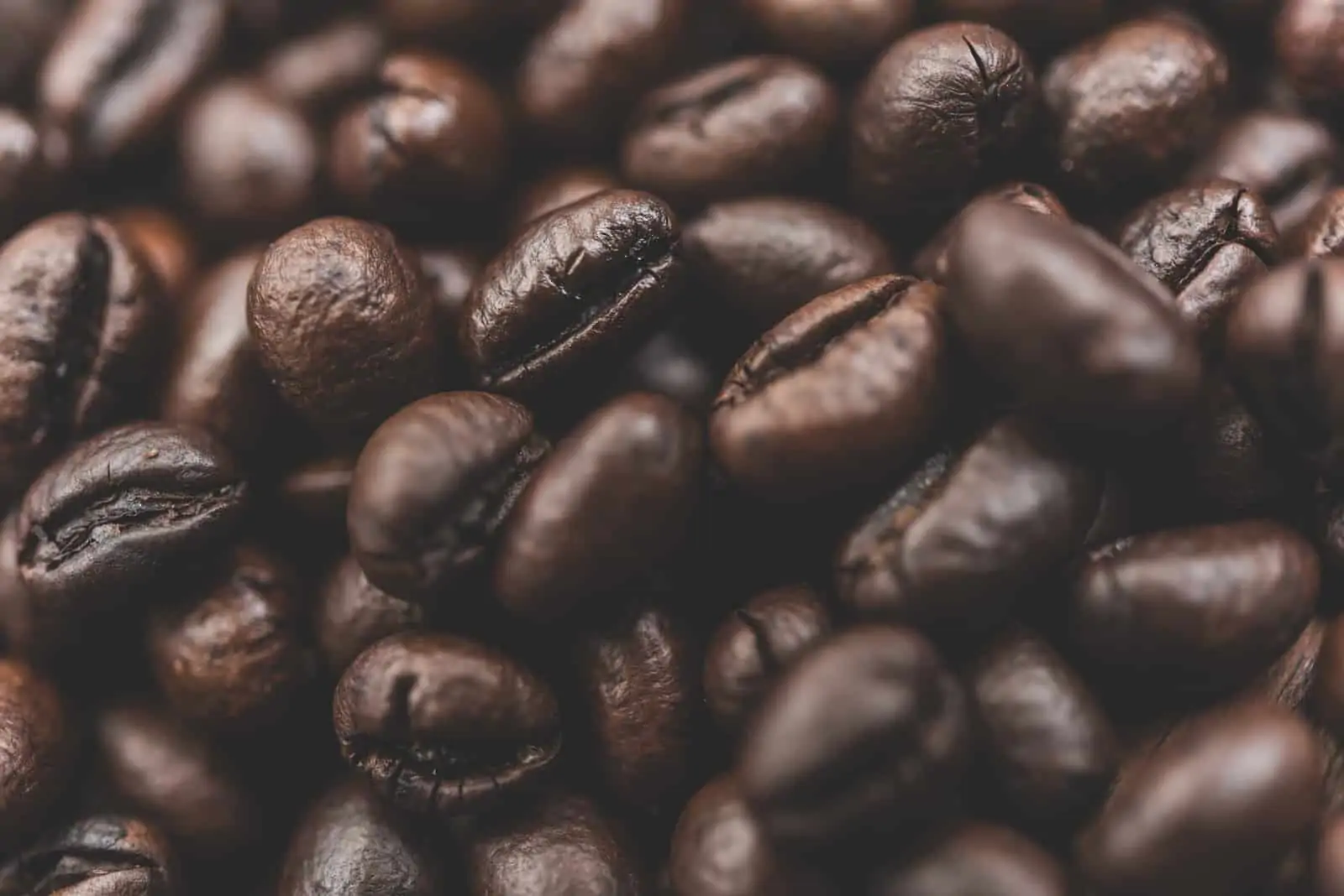 Light Roast vs Dark Roast Coffee Beans What are the differences