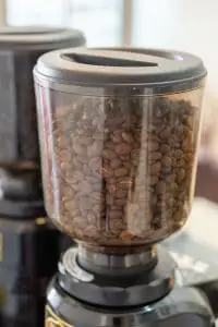 Electric coffee grinder to grind beans