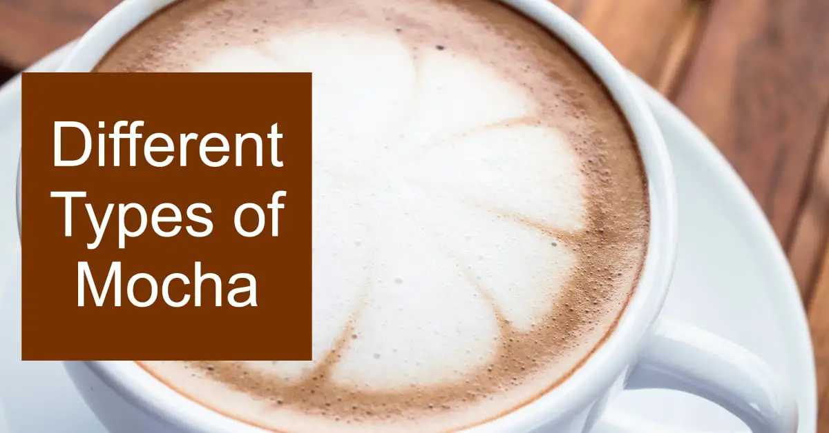 Different Types of Mocha The Deliciously Rich Coffee You Need to Try